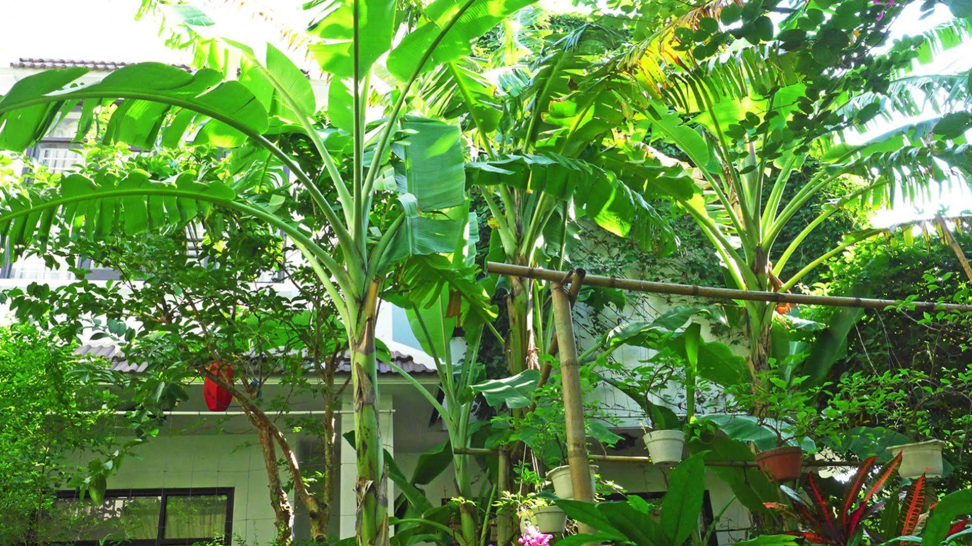 East West Villa Hoi An Dış mekan fotoğraf